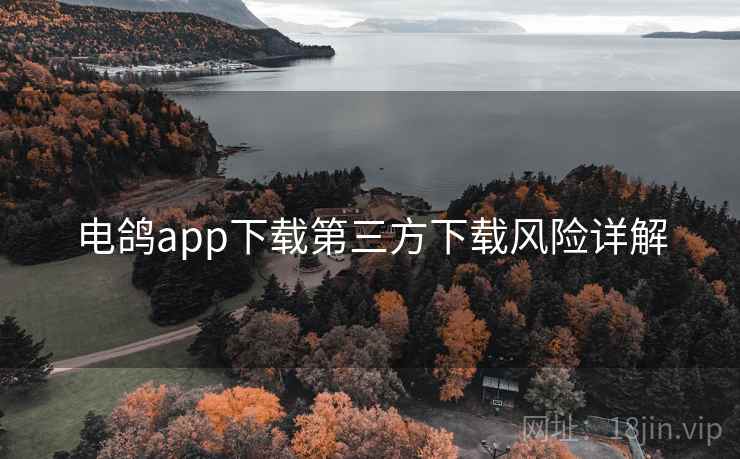 电鸽app下载第三方下载风险详解