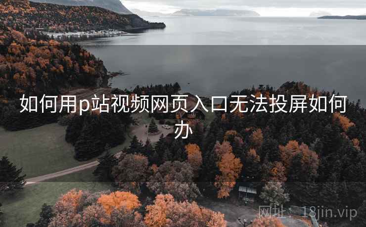 如何用p站视频网页入口无法投屏如何办